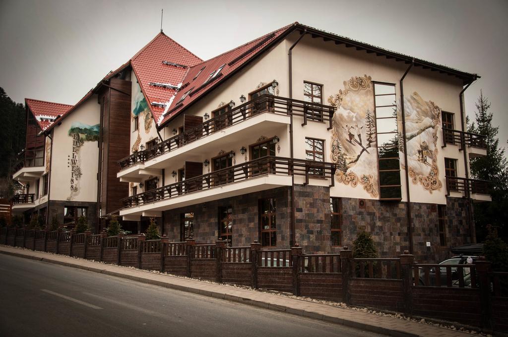 Edelweiss Poiana Hotels 波亚纳布拉索夫 外观 照片